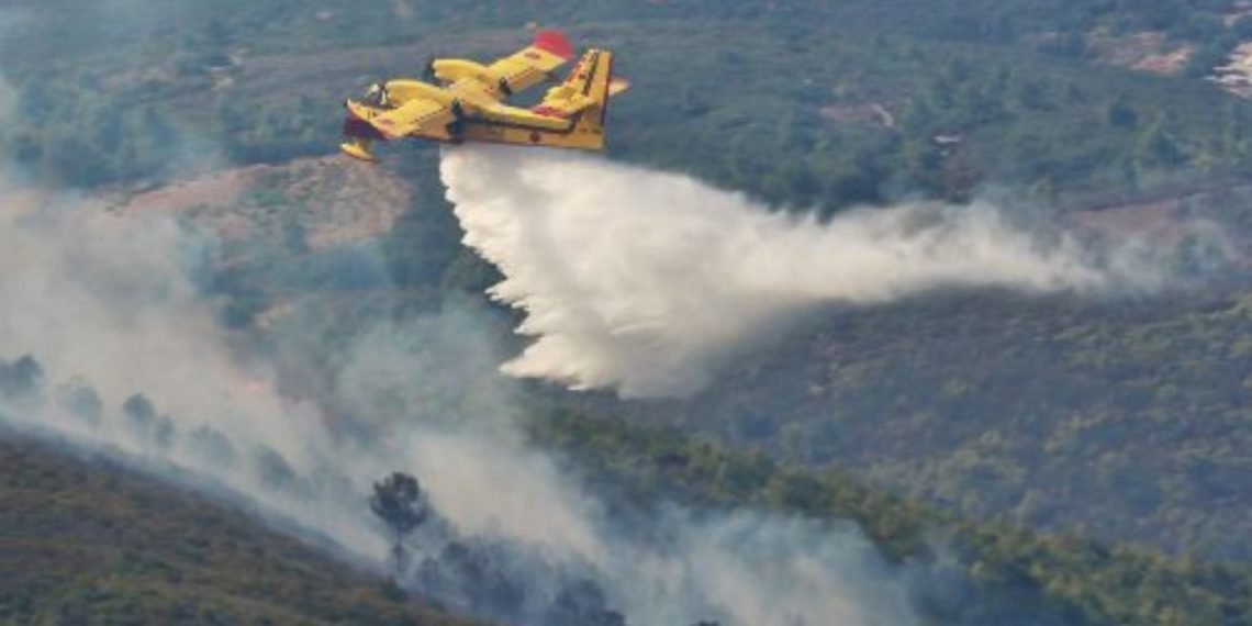 تاونات.. مواصلة الجهود للسيطرة على أربع بؤر للنيران بغابة “خندق تسيانة”