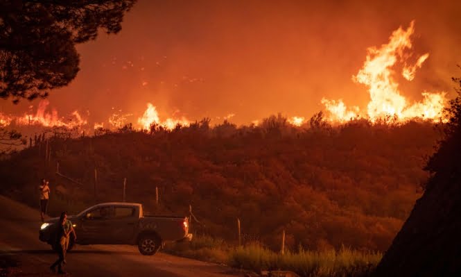  الجزائر: 25 قتيلا وجرحى جرّاء حرائق غابات واسعة