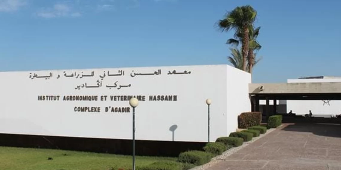 مركب البستنة بأكادير ينخرط بقوة في عالم الابتكار والمقاولة المجددة