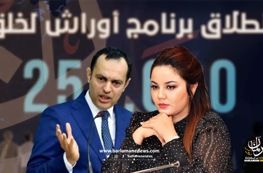  النائبة حكيمة سحاقي تواجه الوزير سكوري بأسباب فشل برنامج أوراش