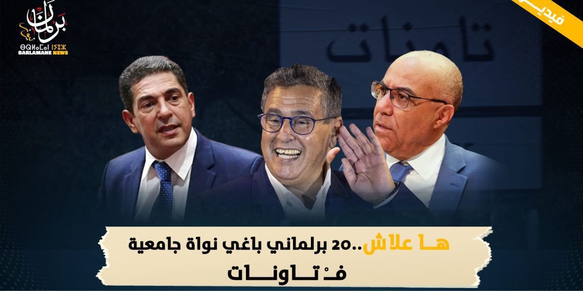 ها علاش..20 برلماني باغي نواة جامعية فـْ تاونات ؟