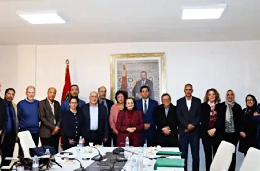  مديرية الأدوية والصيدلة تعقد لقاء تشاوريا مع المجلس الوطني لهيئة الصيادلة