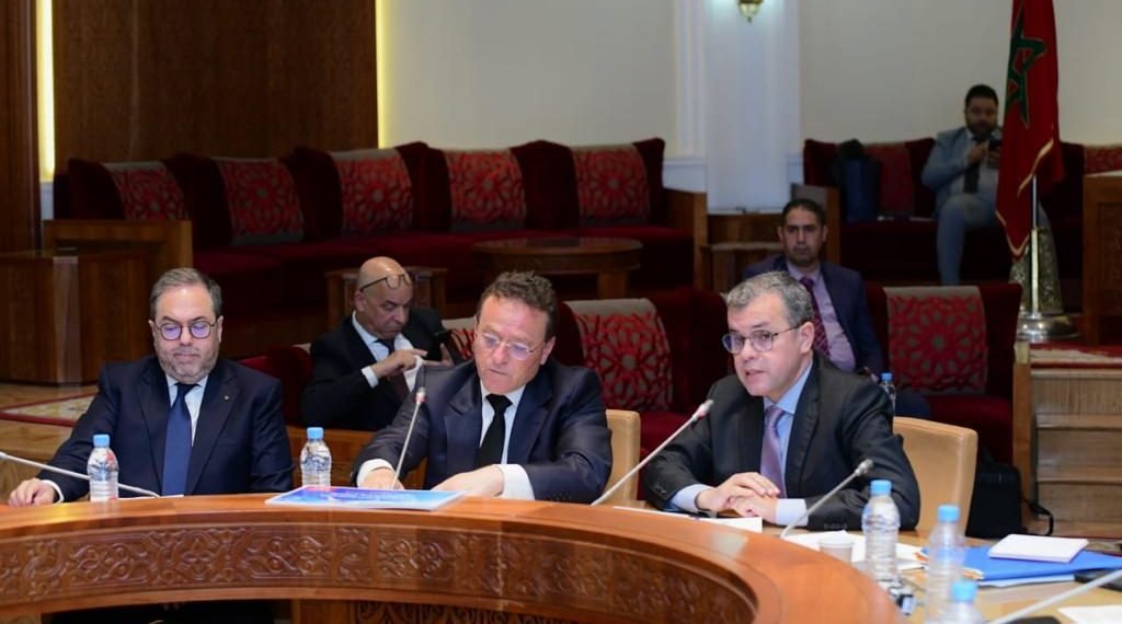وزير النقل يكشف بالبرلمان عن وضعية وآفاق شركة الخطوط الملكية المغربية 