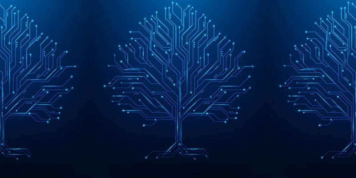 مقابلة: أهمية بناء أساس البيانات