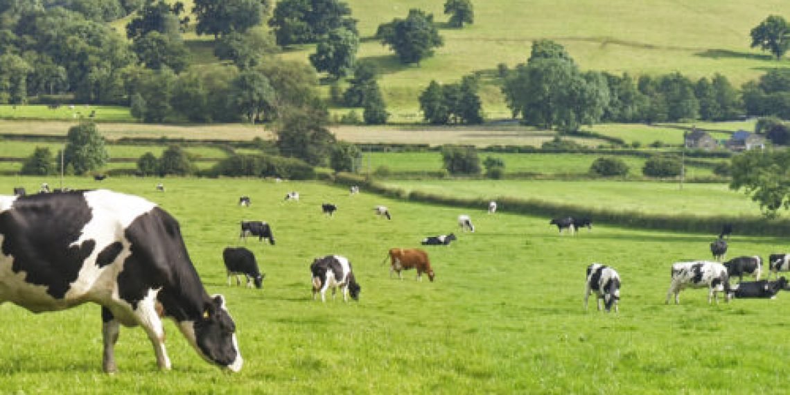 الولايات المتحدة تبدأ اختبارًا وطنيًا لفيروس أنفلونزا H5N1 في إمدادات الحليب