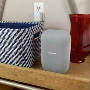 حصل مستخدمو معاينة Google Home للتو على ميزة Gemini AI أخرى