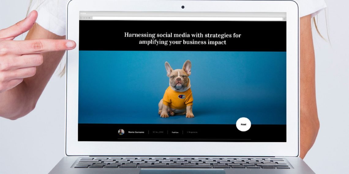 هل تريد إنشاء موقع ويب متميز؟ وإليك كيفية القيام بذلك دون الحاجة إلى البرمجة