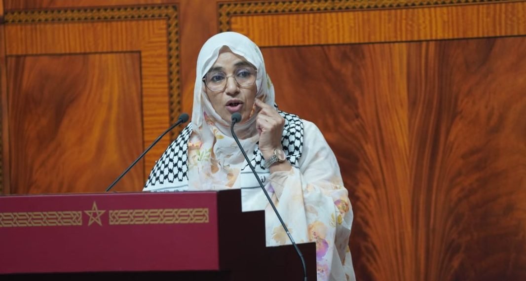 أبلاضي: قانون المالية 2025 لا يعالج التحديات الاجتماعية والاقتصادية